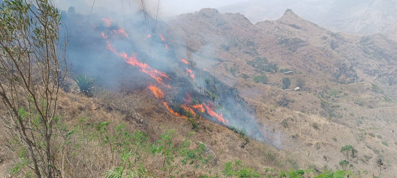 Imagem de Militares morrem em acidente de viação em Cabo Verde