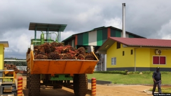 Imagem de Trabalhadores da Agripalma reclamam aumento salarial e melhores condições de trabalho