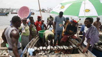 Imagem de Aumento da exportação de peixe é prioridade em Angola