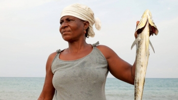 Imagem de Arranca em São Tomé e Príncipe recenseamento da frota de pesca artesanal e semi-industrial das mulheres que comercializam o pescado