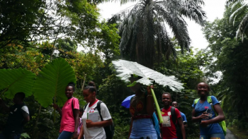 Imagem de Ilha do Príncipe assinala hoje 104 anos da comprovação da teoria da relatividade de Einstein