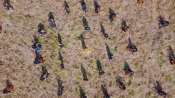 Imagem de Lançamento da campanha “A Paz é Nossa Cultura”