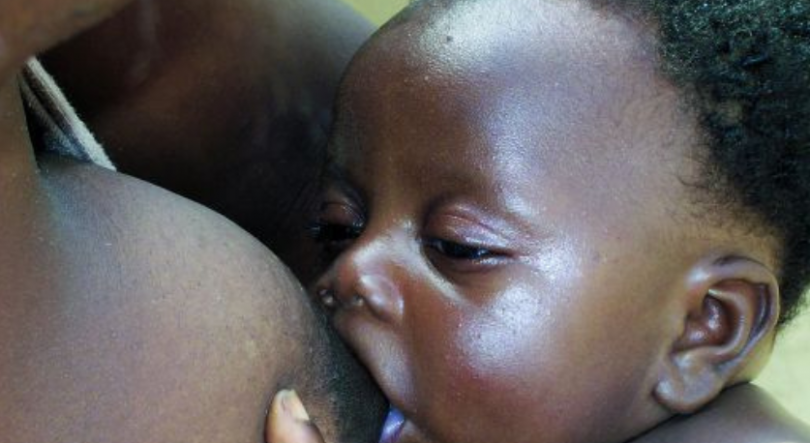 Imagem de Semana Mundial do Aleitamento assinalada em Angola