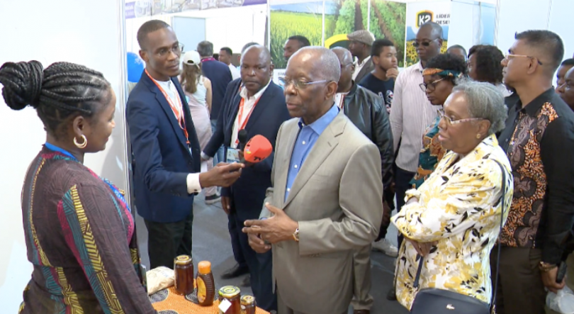 Imagem de Governo de Moçambique  quer melhorar ambiente de negócios