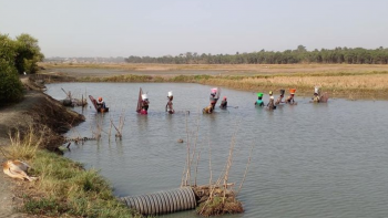 Imagem de Guiné-Bissau celebrou, ontem, os 50 anos da proclamação unilateral da sua independência