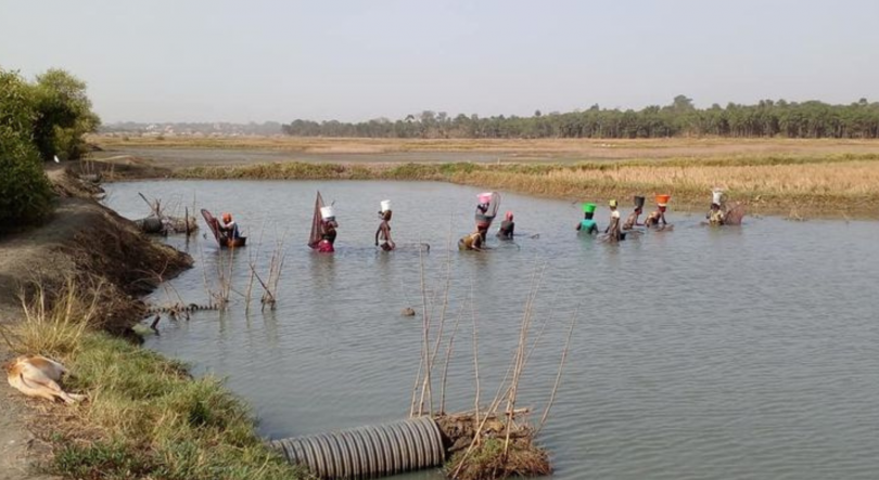 Imagem de Guiné-Bissau celebrou, ontem, os 50 anos da proclamação unilateral da sua independência