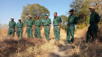 Imagem de Governo de Moçambique vai pagar pensões aos desmobilizados da RENAMO