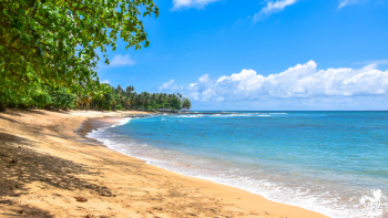 Imagem de Turismo em Santo Tomé e Príncipe volta a crescer