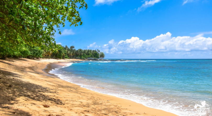 Imagem de Turismo em Santo Tomé e Príncipe volta a crescer