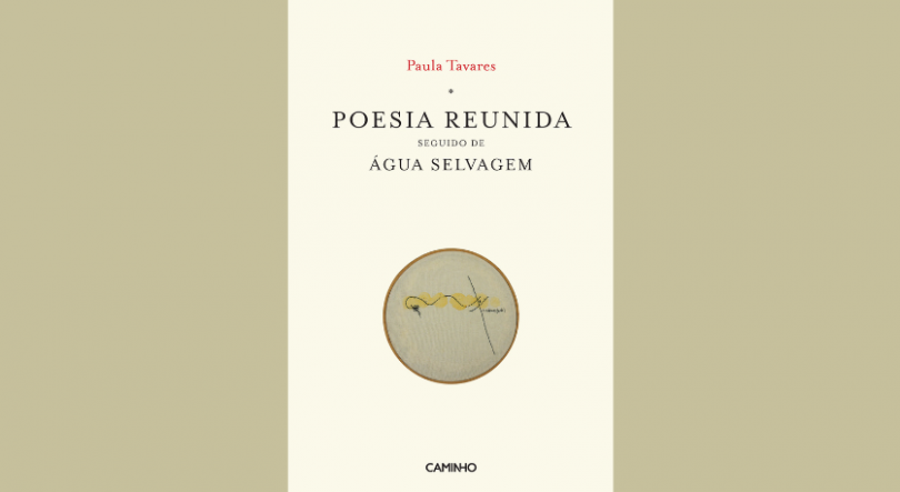 Imagem de Lançamento do livro “Poesia Reunida Seguida de Água Selvagem”, de Ana Paula Tavares