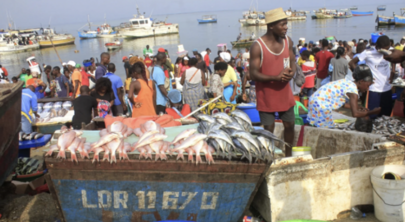 Imagem de “APASIL”quer melhorar o diálogo com governo angolano