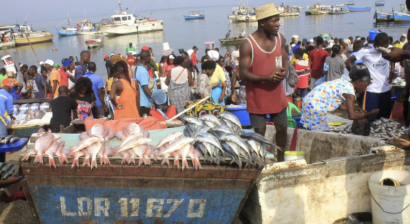 Imagem de Associação de Pesca Artesanal, Semi-Industrial e Industrial de Luanda quer melhores índices de captura