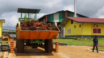 Imagem de São Tomé e Príncipe: Trabalhadores da Agripalma pedem intervenção do chefe de Estado