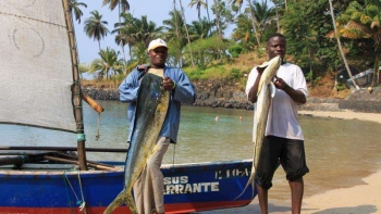 Imagem de Pescadores artesanais são-tomenses contra proposta de lei das zonas marinhas