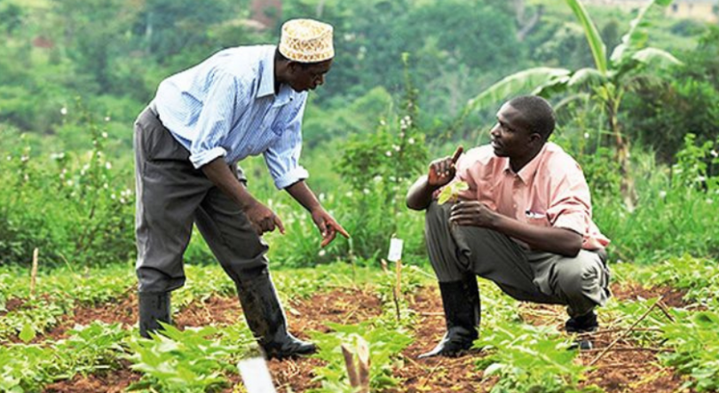 Imagem de Angola: Mais de 11 milhões de pessoas enfrentam fome, alerta FAO