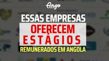 Imagem de Mercado angolano absorve estágios profissionais