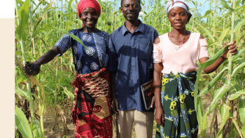 Imagem de Angola: Governo, deputados e ONG debatem segurança alimentar e nutrição