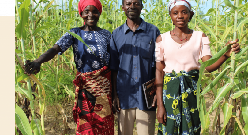 Imagem de Angola: Governo, deputados e ONG debatem segurança alimentar e nutrição