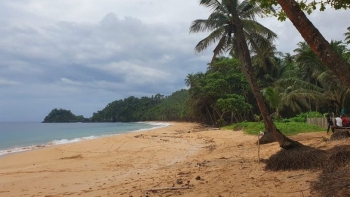 Imagem de São Tomé e Príncipe celebra 49 anos de independência