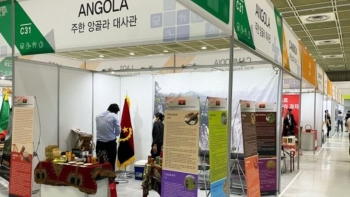 Imagem de Angola: Importadores acusados de usar falsas declarações de importação