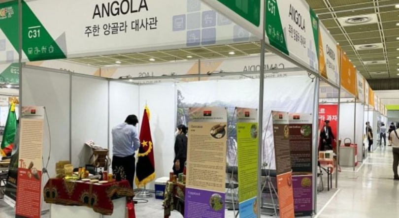 Imagem de Angola: Importadores acusados de usar falsas declarações de importação