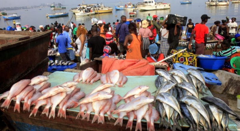 Imagem de Angola quer reforçar fiscalização contra pesca ilegal e proteger espécies
