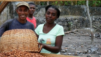 Imagem de Cacau são-tomense reconhecido como Património Agrícola Mundial pela FAO