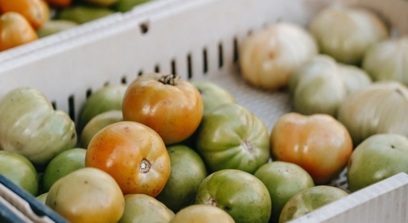 Imagem de Agricultores de Luanda apelam às empresas para evitar perdas de colheita