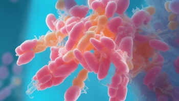 Imagem de Autoridades desmentem surto de Shigela na Ilha do Sal