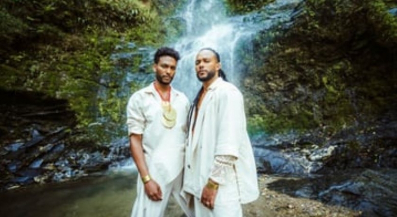 Imagem de  03 a 09 de novembro