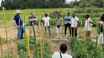 Imagem de Governo são-tomense subvenciona transporte de produtos da cesta básica