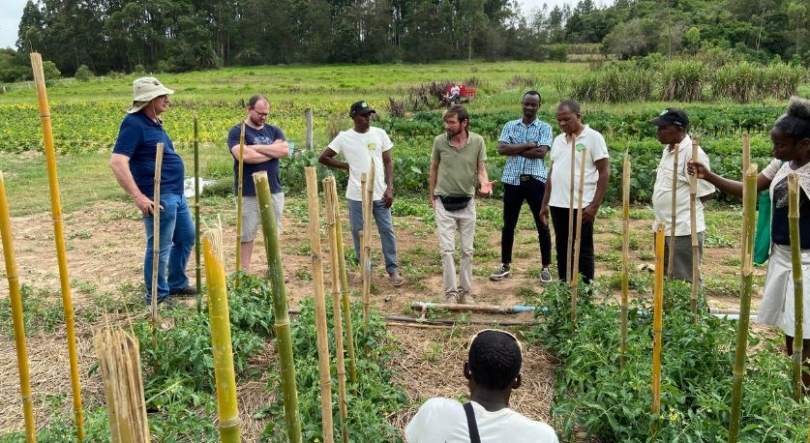 Imagem de Governo são-tomense subvenciona transporte de produtos da cesta básica