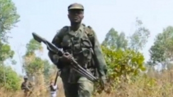 Imagem de Rebeldes violam cessar-fogo no leste da RDC