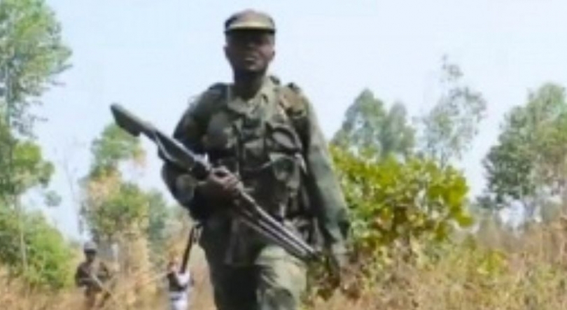 Imagem de Rebeldes violam cessar-fogo no leste da RDC