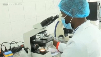 Imagem de Angola regista mais de 12 mil casos de cólera desde janeiro