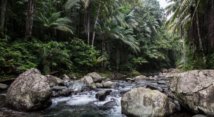 Imagem de STP: conservação da biodiversidade no golfo da guiné em análise