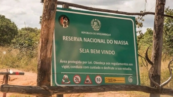 Imagem de Ataque terroristas à Reserva do Niassa afeta turismo no norte de Moçambique