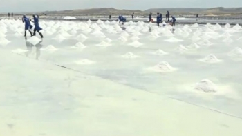 Imagem de Produção de sal preocupa empresários angolanos