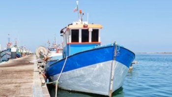 Imagem de FMI defende que a Guiné-Bissau deve construir um porto industrial de pesca