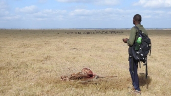 Imagem de Moçambique: Jacinto Mathe tornou-se no 1º paleo-antropólogo formado em Oxford