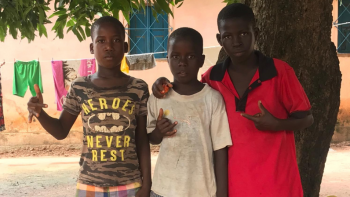 Imagem de Guiné-Bissau: especialistas pedem rigor no apuramento eleitoral
