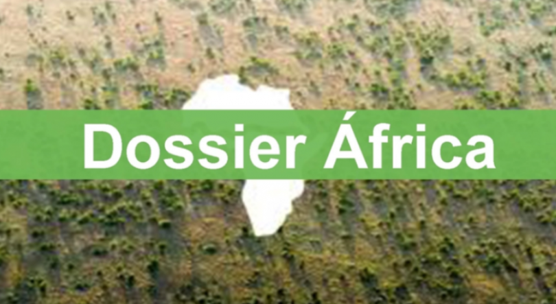 Imagem de Programa da RDP África recebe nota de mérito no Prémio Mário Soares