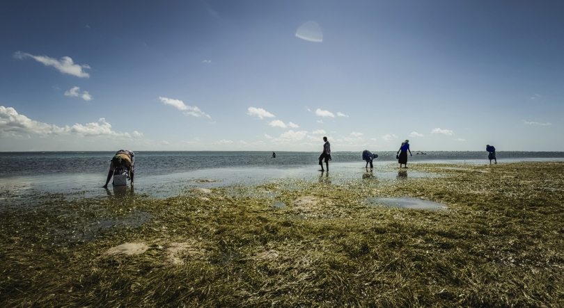 Imagem de As guardiãs do Índico