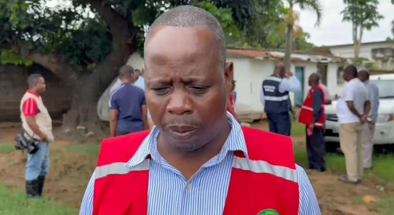 Imagem de Atualização cheias em Moçambique