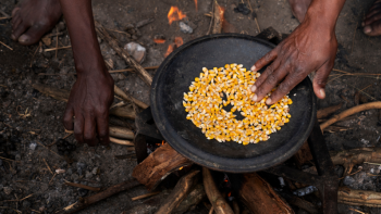 Imagem de La Niña agrava fenómenos extremos e aumenta risco de insegurança alimentar em África