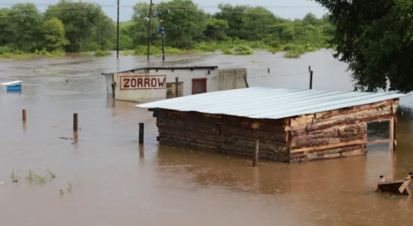 Imagem de Em Moçambique, só numa província, mais de 2 mil animais morreram nas últimas cheias e inundações