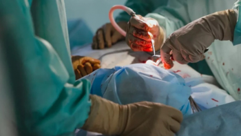 Imagem de É um marco histórico, Cabo Verde deve realizar o seu primeiro transplante renal em março