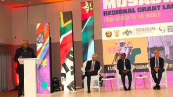 Imagem de Erradicação da malária volta a juntar 3 países em Maputo