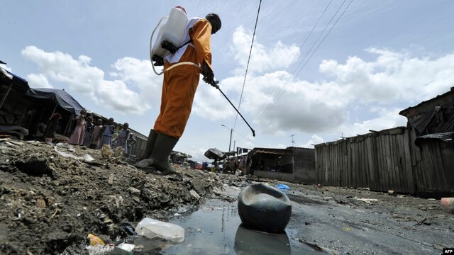 Imagem de Casos de paludismo aumentam em São Tomé e Príncipe