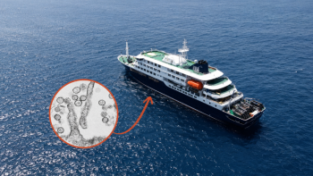 Imagem de A estirpe do Hantavírus encontrada em dois pacientes do navio-cruzeiro em Cabo Verde, é a mais perigosa